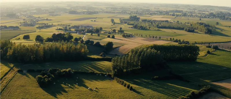 Bekina Sustainability